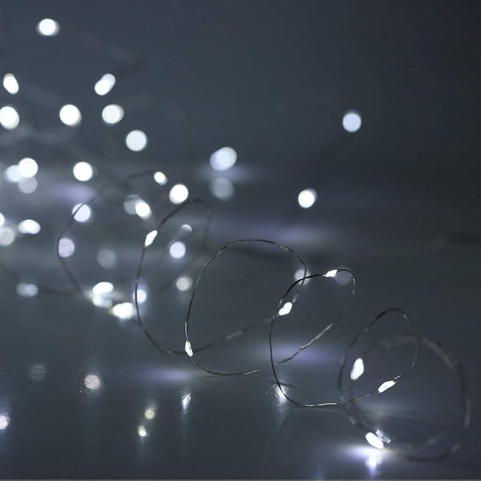 WSgift 2 Pack 20 Feet 60 Cold White Led Fairy Lights Battery Operated with Remote Control Timer Waterproof Silver Copper Wire Twinkle String Lights for Party Bedroom Wedding Christmas Decorations