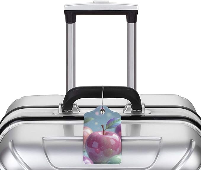 2 Pack Luggage Tags for suitcases Apple TSA Approved Label Luggage Tag Baggage Tag Leather Stainless Steel Loop Label Tag for Men Women Travel Bag Suitcase