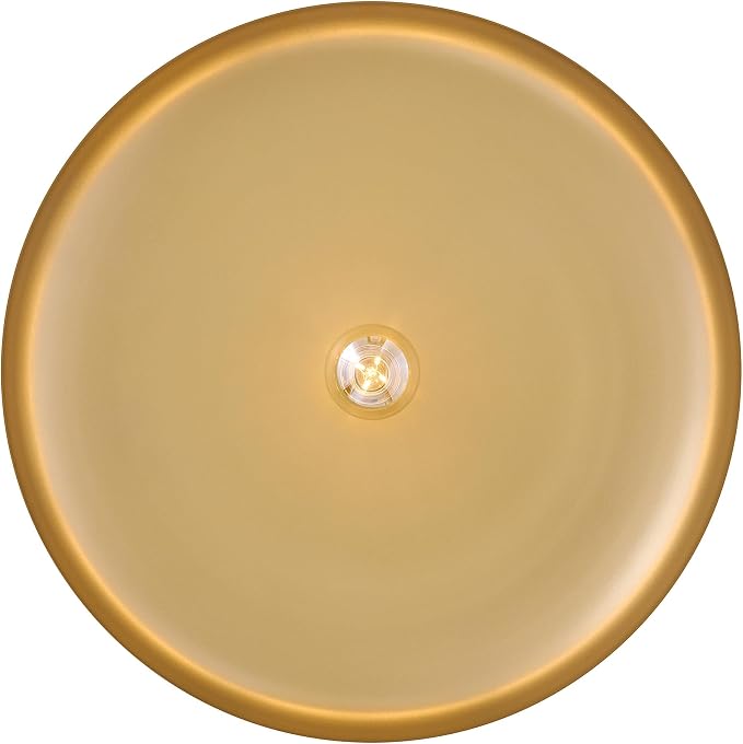 Hinkley Sadie 24" Large Dome Chandelier, Antique Verdigris/Lacquered Brass | Two Tone Saucer Pendant, Includes (5) 7" Downrods, Needs a Med. LED Bulb, Adjustable Height, Dining Room, Kitchen