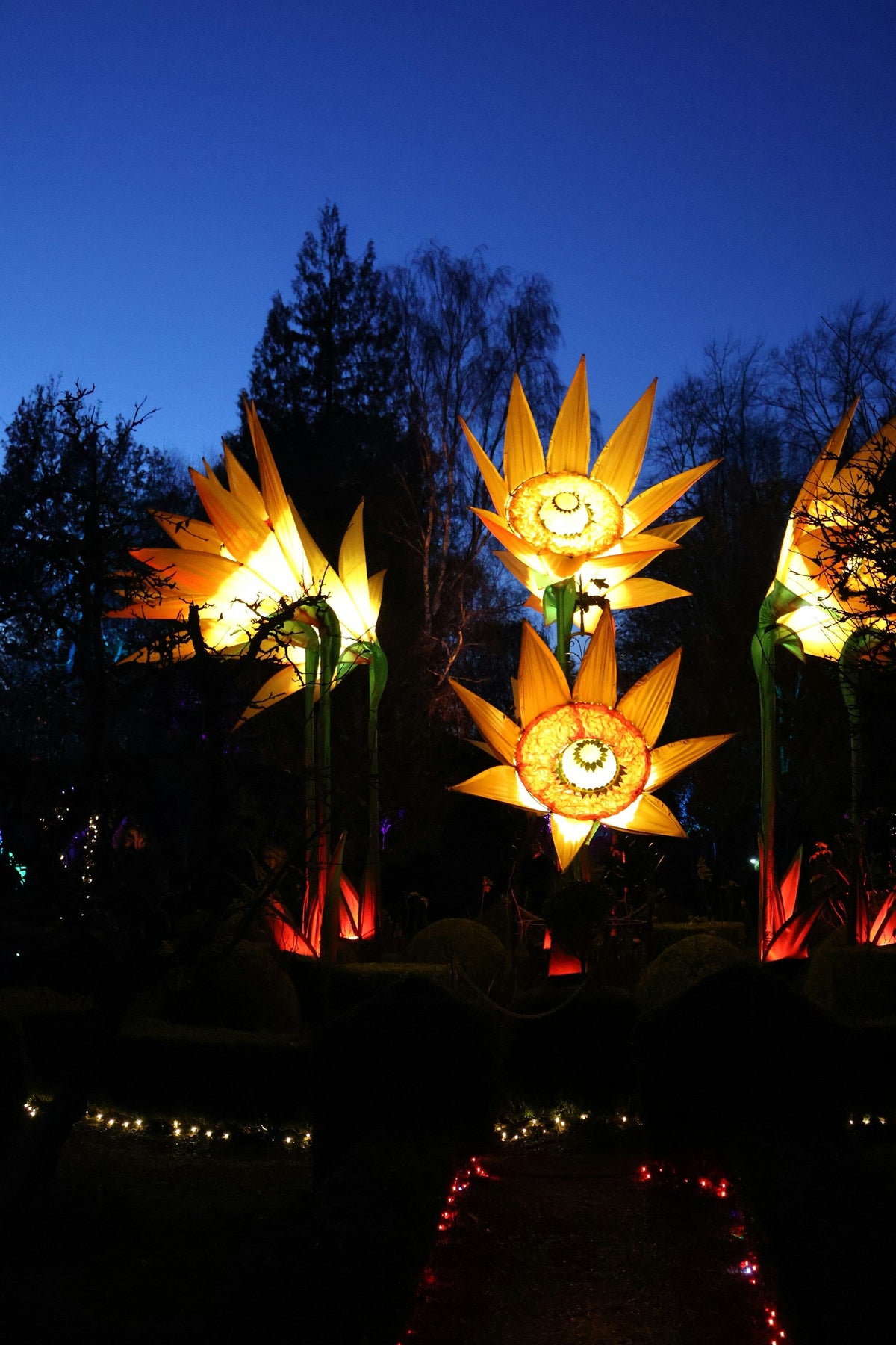 Garden Lights