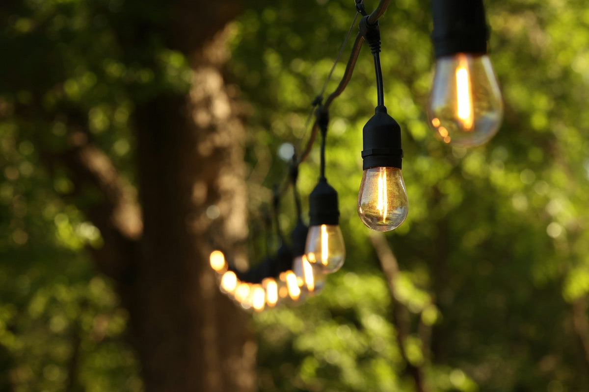 LED Bulbs