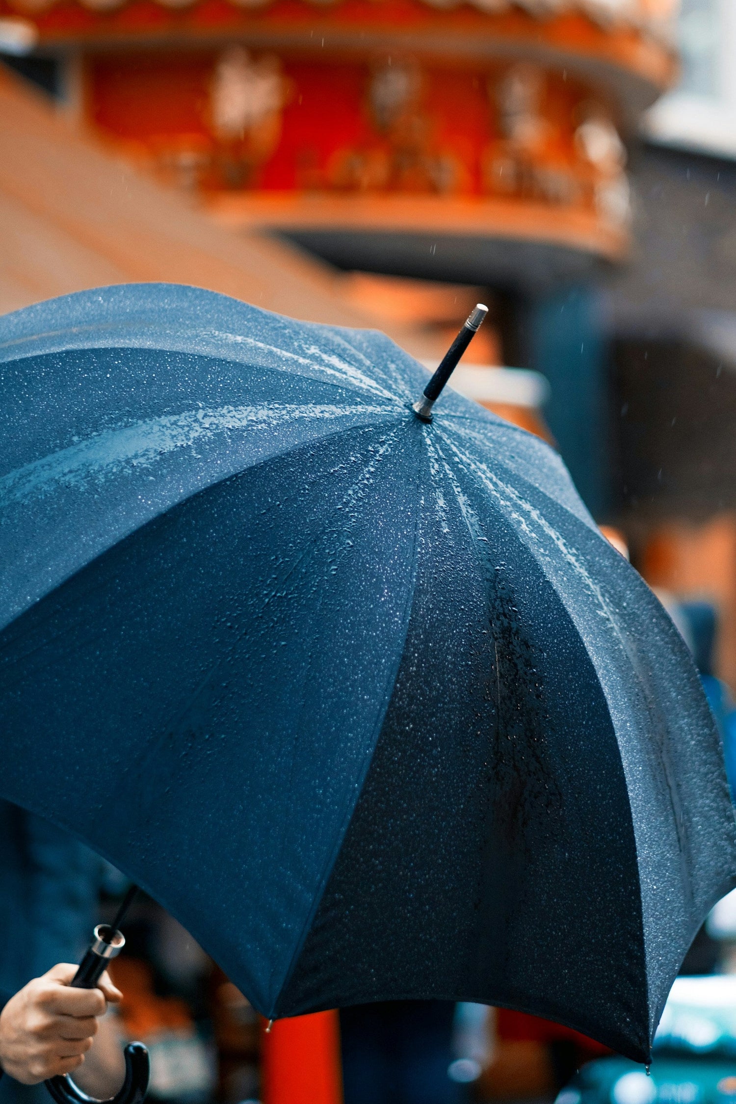 Travel Umbrellas