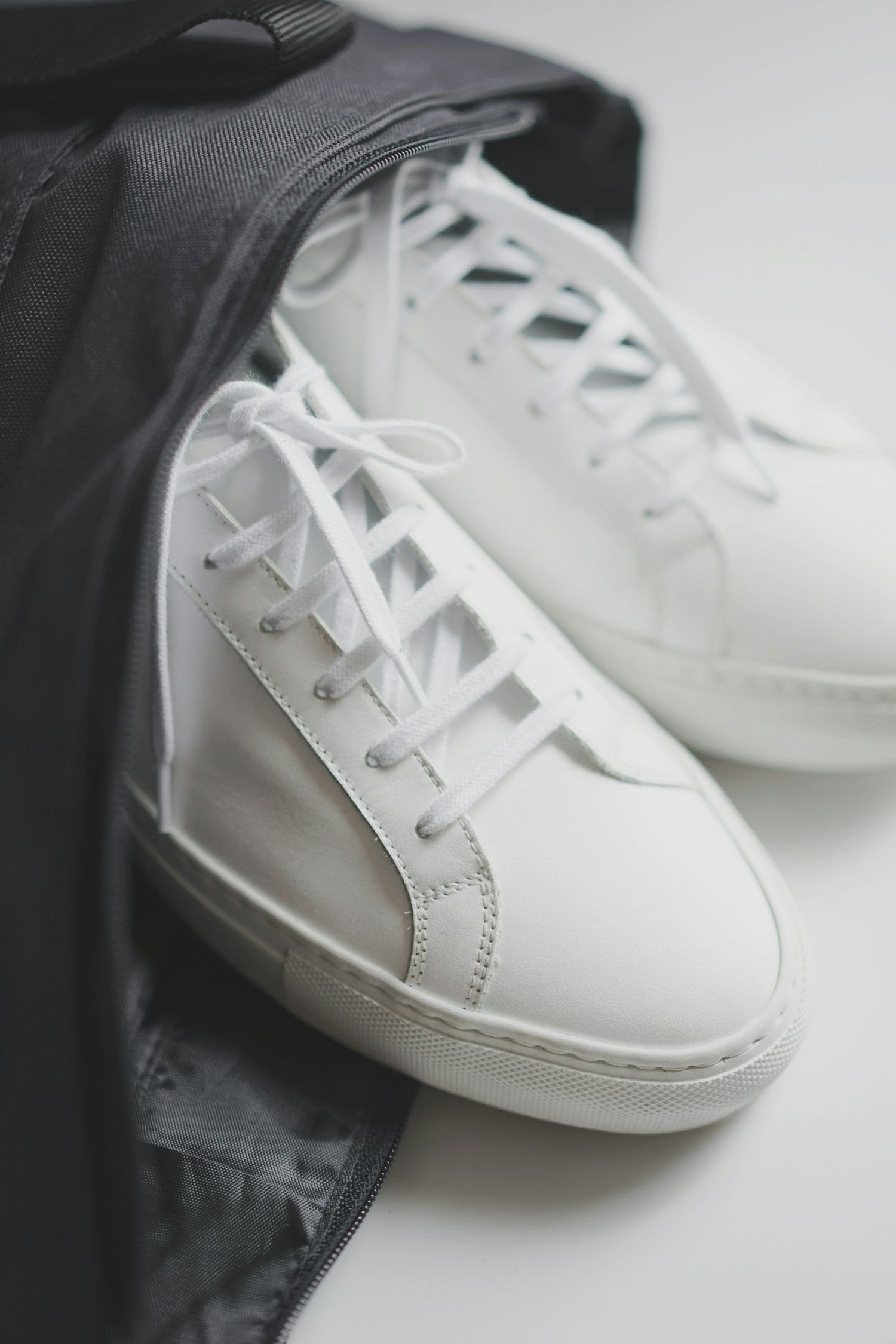 Shoe Bags