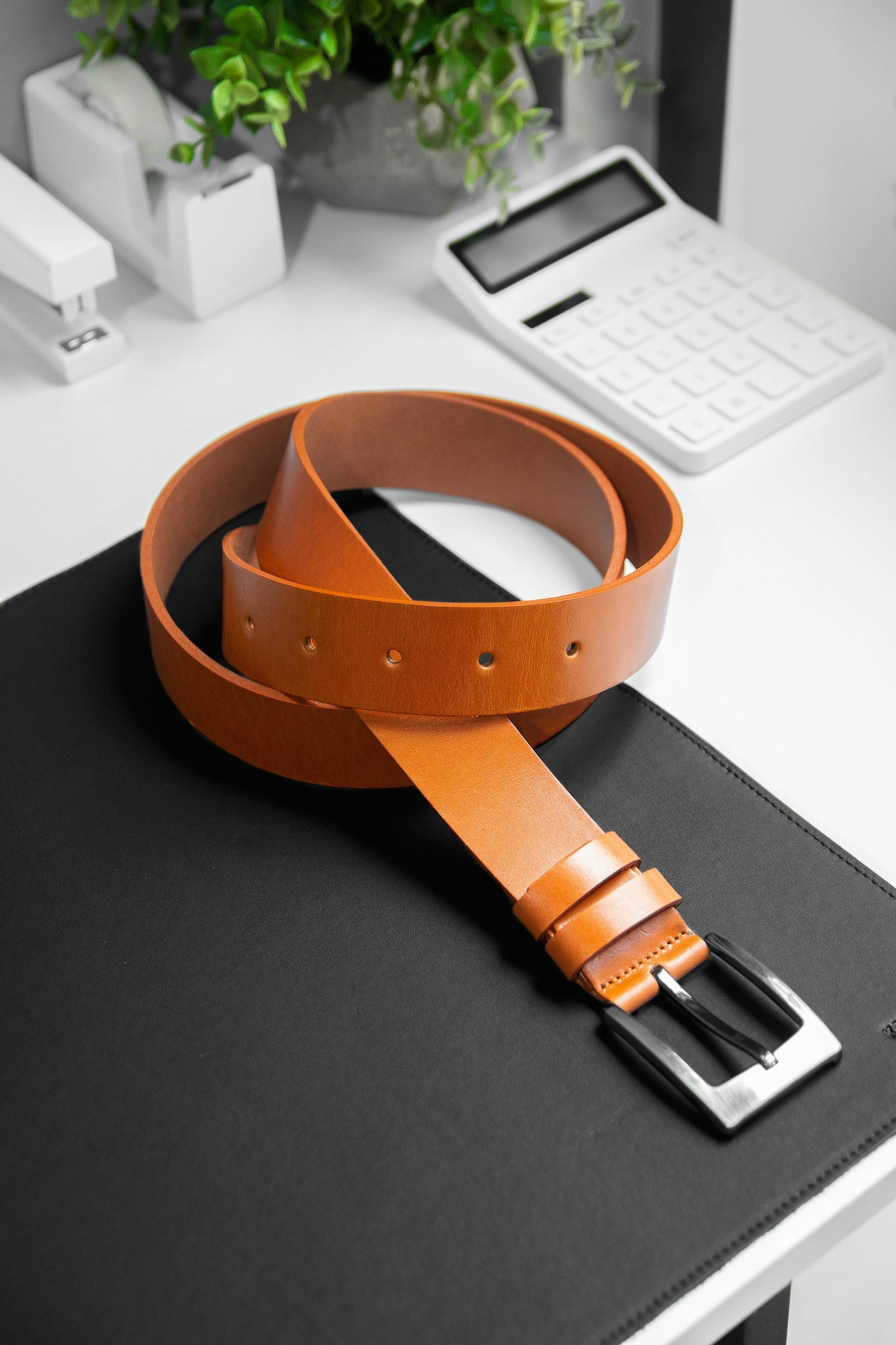 Money Belts