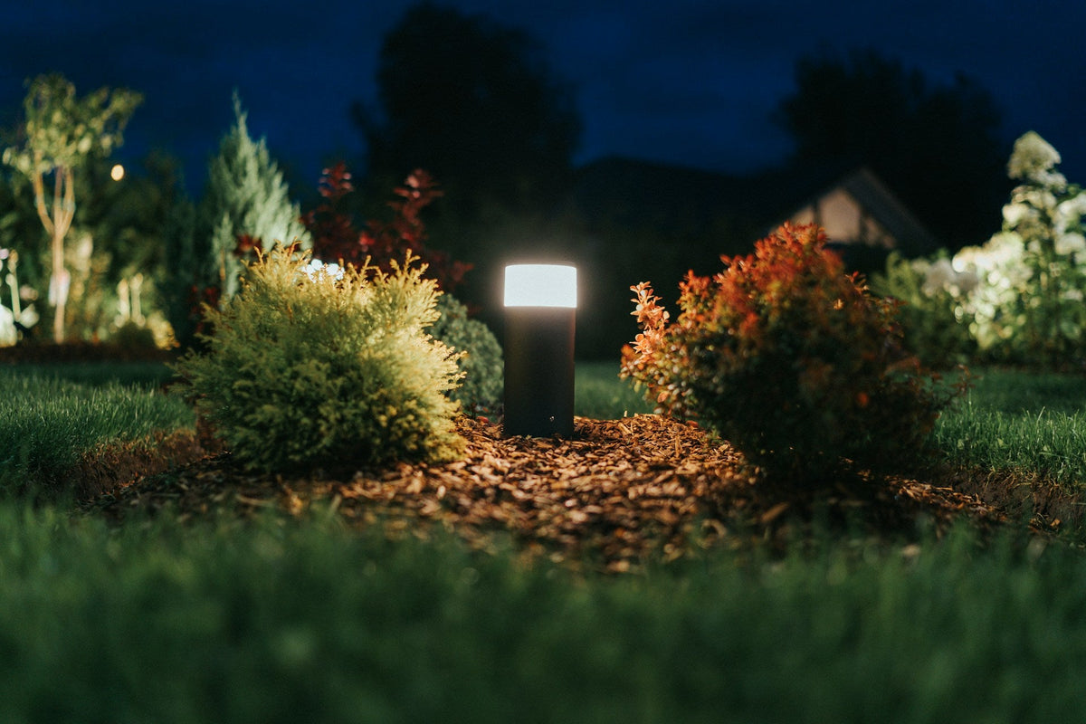 Landscape Lights