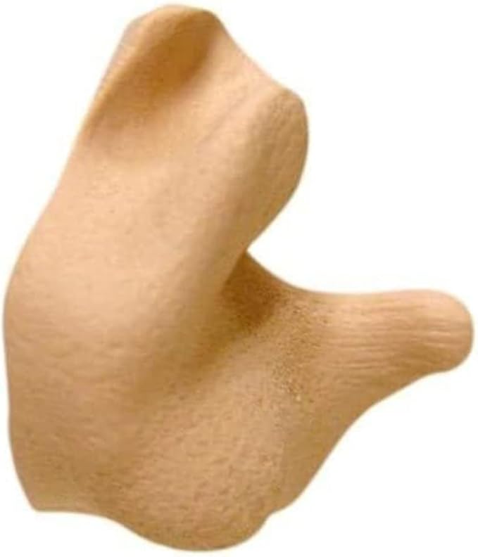 Radians Custom Molded Earplugs
