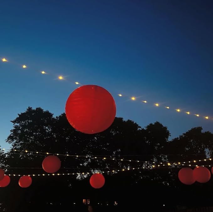 10PCS Paper Lanterns Valentines Day Chinese New Year Spring Festival Lantern,8inches Round Hanging Paper Lanterns with LED Lights,with Tassels Walking Sticks for Wedding Dinner Birthday Party Decor