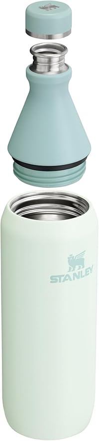 Stanley All Day Slim Bottle 20 oz | Twist On Lid with Leakproof Seal | Slim Design for Travel & Gym | Insulated Stainless Steel | BPA-Free | Mist