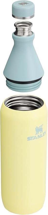 Stanley All Day Slim Bottle 20 oz | Twist On Lid with Leakproof Seal | Slim Design for Travel & Gym | Insulated Stainless Steel | BPA-Free | Pomelo