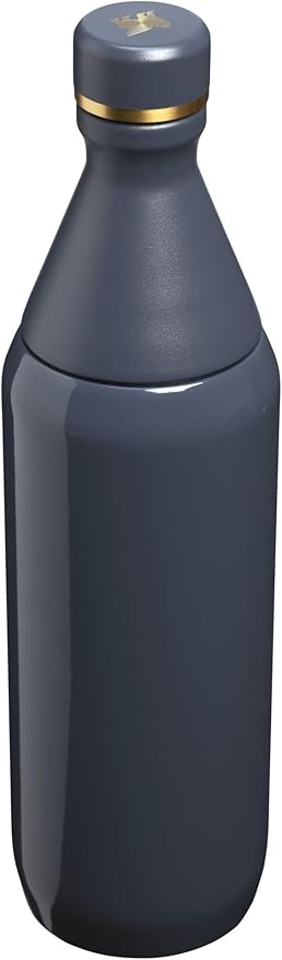 Stanley All Day Slim Bottle 20 oz | Twist off Lid with Leakproof Seal | Slim Design for Travel and Gym | Insulated Stainless Steel Water Bottle | BPA-Free | Twilight Gloss