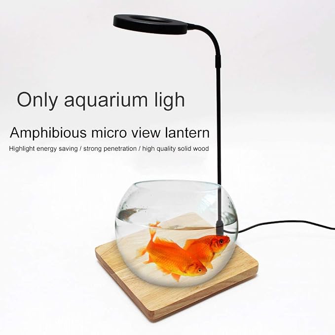 Full Spectrum LED Light for Under 5 Gallon Fish Tank 10w | 360 Degree LED Small Aquarium & Terrarium Light with Bamboo Board Nano Fish Tank Light for Plant Growth USB Powered
