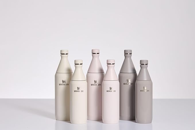 Stanley All Day Slim Bottle 20 oz | Twist On Lid with Leakproof Seal | Slim Design for Travel & Gym | Insulated Stainless Steel | BPA-Free | Rose Quartz