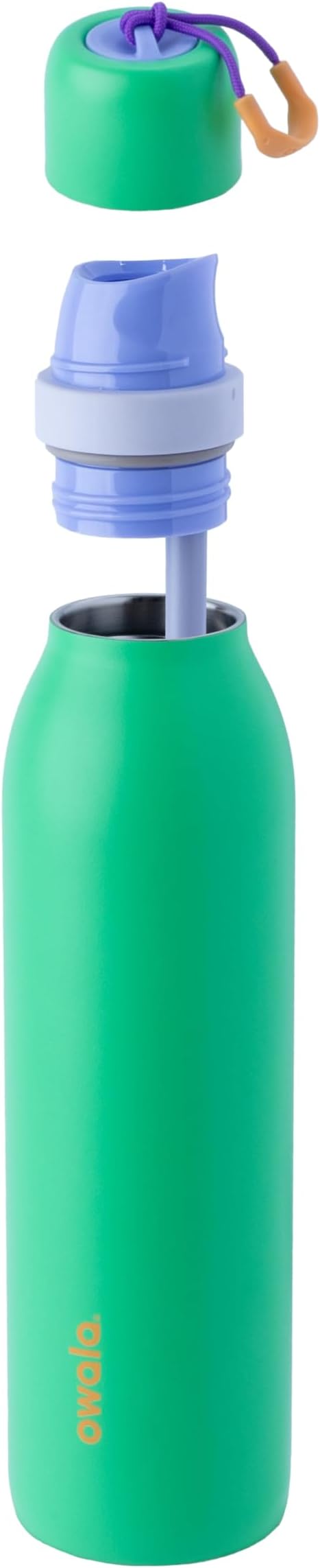 Owala FreeSip Twist Insulated Stainless Steel Water Bottle with Straw for Sports and Travel, BPA-Free, 24-oz, Sweet Pea