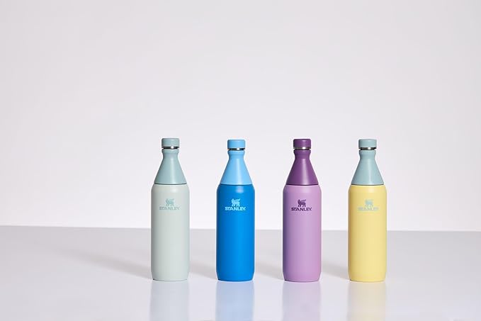 Stanley All Day Slim Bottle 20 oz | Twist On Lid with Leakproof Seal | Slim Design for Travel & Gym | Insulated Stainless Steel | BPA-Free | Lilac