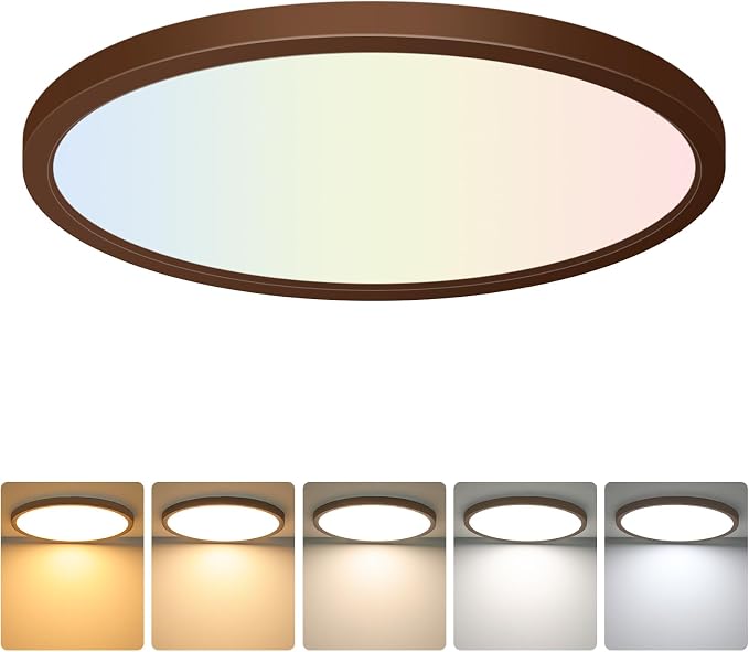 12 Inch LED Flush Mount Ceiling Light Fixture, Dimmable, 3200LM | 2700K/3000K/4000K/5000K/6500K 24W Ultra Thin Low Profile Ceiling Lamp for Kitchen, Bedroom, Closet Room, Oil Rubbed Bronze