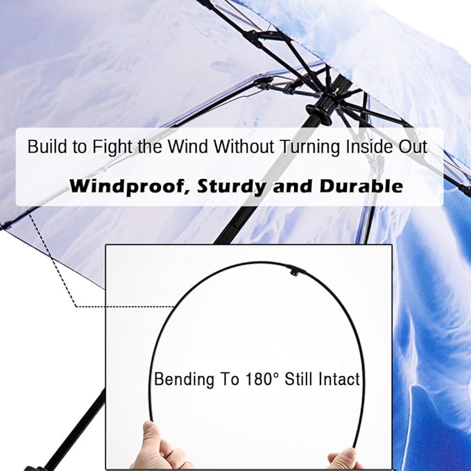 LANBRELLA Compact Reverse Folding Umbrella Auto Windproof Travel Umbrella