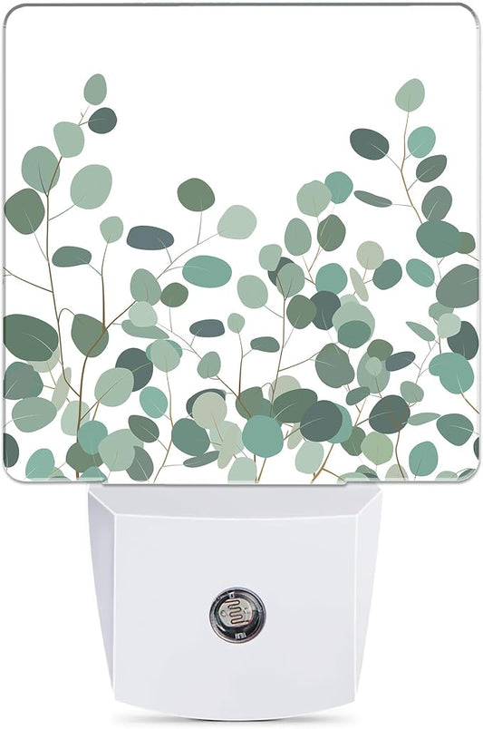 Floral Eucalyptus Dusk to Dawn Night Light, Auto Sensor Lamp Home Indoor Stairway Kitchen Corridor, Night Lights Plug into Wall Decor, Boys Girls Women Men Room Gifts