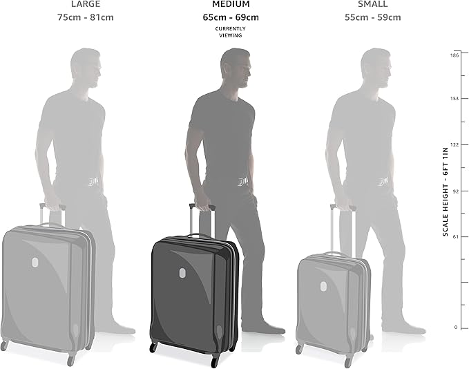 Amazon Basics 26-inch Hardside Checked Luggage With Leather Detailing, Expandable Spinner Suitcase With 8 Multi-directional Wheels, Scratch-Resistant Surface, Black