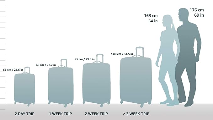 Rockland London Hardside Spinner Wheel Luggage, Blue, Carry-On 20-Inch