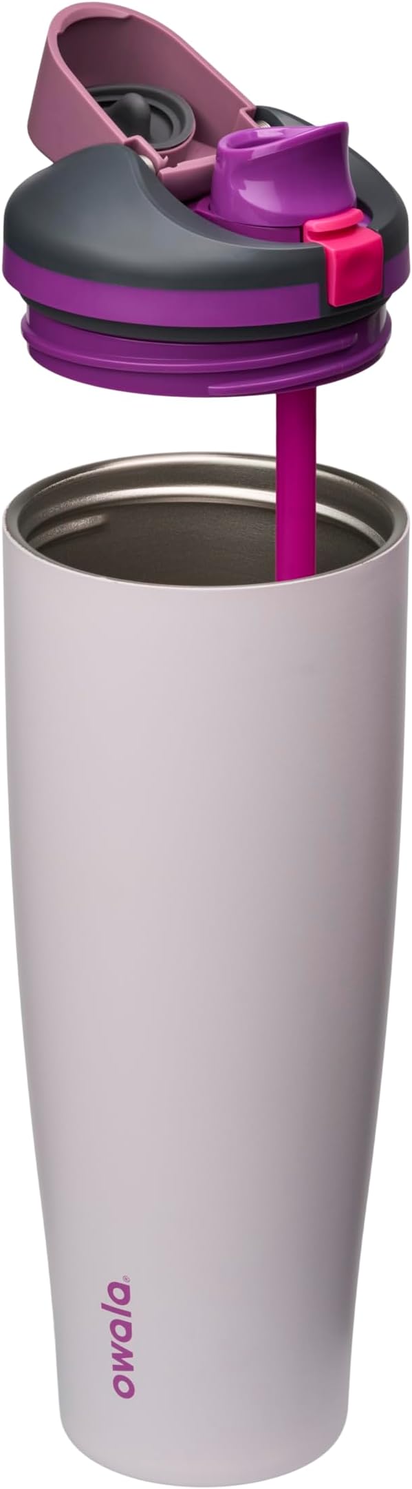 Owala FreeSip Tumbler Insulated Stainless Steel Water Bottle with Built-in Straw and Side Handle, For Travel, Work, School, and Sports, 40oz, BPA Free, Leak Proof, Dreamy Field