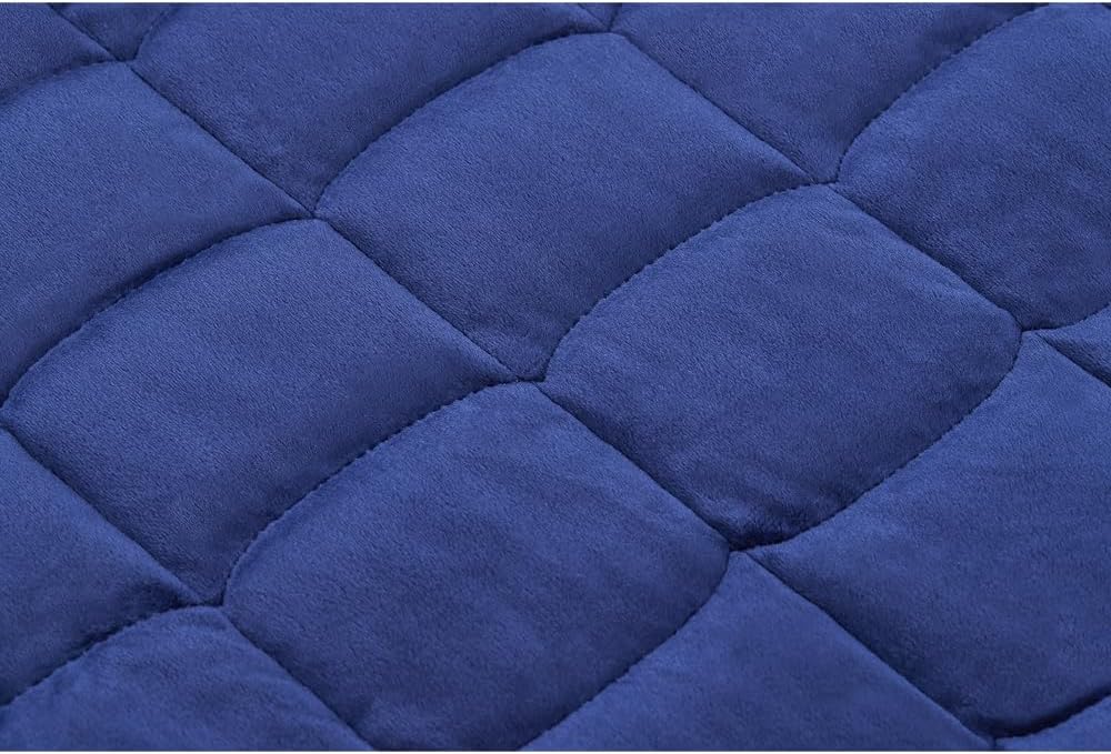 TONGDADA Weighted Lap Blanket 7lbs for Adult,Perfect for Relaxation, Lounging, Napping, Sleeping & Travel,Luxury Minky Weighted Body Blanket,Weighted Throw Blanket-Navy Minky, 29" x 24"