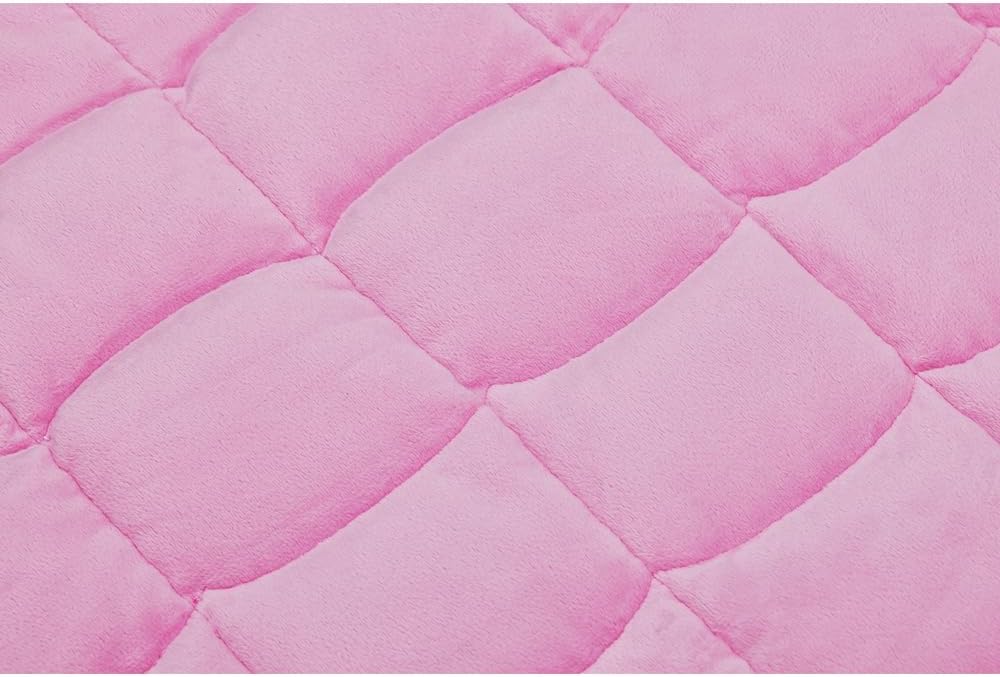 TONGDADA Weighted Lap Blanket 7lbs for Adult,Perfect for Relaxation, Lounging, Napping, Sleeping & Travel,Luxury Minky Weighted Body Blanket,Weighted Throw Blanket-Pink Minky, 29" x 24"