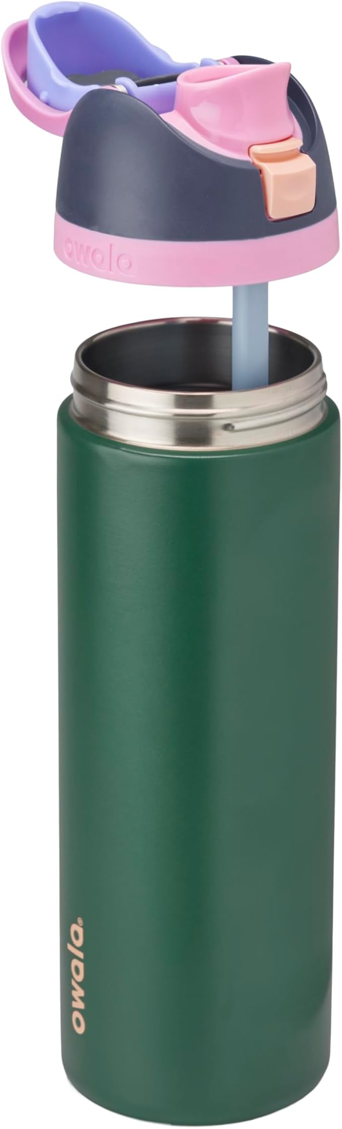 Owala FreeSip Insulated Stainless Steel Water Bottle with Straw for Sports and Travel, BPA-Free Sports Water Bottle, 24 oz, Blue/Green Forest Fairy