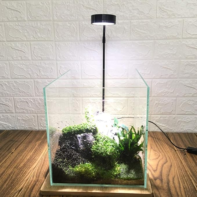 Full Spectrum LED Light for Under 5 Gallon Fish Tank 10w | 360 Degree LED Small Aquarium & Terrarium Light with Bamboo Board Nano Fish Tank Light for Plant Growth USB Powered