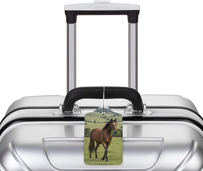 2 Pack Luggage Tags for suitcases Horse TSA Approved Label Luggage Tag Baggage Tag Leather Stainless Steel Loop Label Tag for Men Women Travel Bag Suitcase