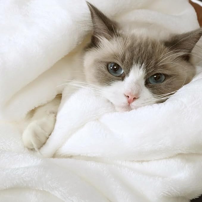 Hansleep Fleece Queen Blanket for Bed Fleece Super Soft White Queen Flannel Fuzzy Plush Cozy Blanket for All Seasons, White, Queen 90x90 Inches