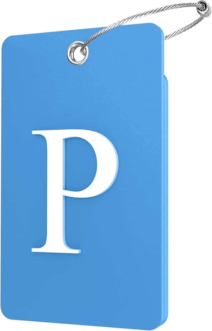 Gostwo 2 Pack Luggage Tags for Suitcases, 26 Initial Letter Travel Luggage Baggage Identification Labels ID Tag Fully Bendable Tags with Stainless Steel Loop (Blue) (Letter P)