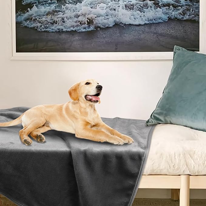 Onarway Dog Blanket Washable for Puppy: 4 Packs Dog Blankets 40”x28” - Fluffy Soft Small Throw for Cat Puppy Kitten Dogs - Fleece Pet Blankets for Bed Sofa Car and Indoor - Light Grey