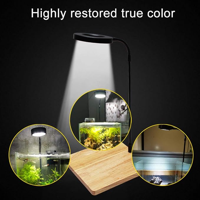 Full Spectrum LED Light for Under 5 Gallon Fish Tank 10w | 360 Degree LED Small Aquarium & Terrarium Light with Bamboo Board Nano Fish Tank Light for Plant Growth USB Powered