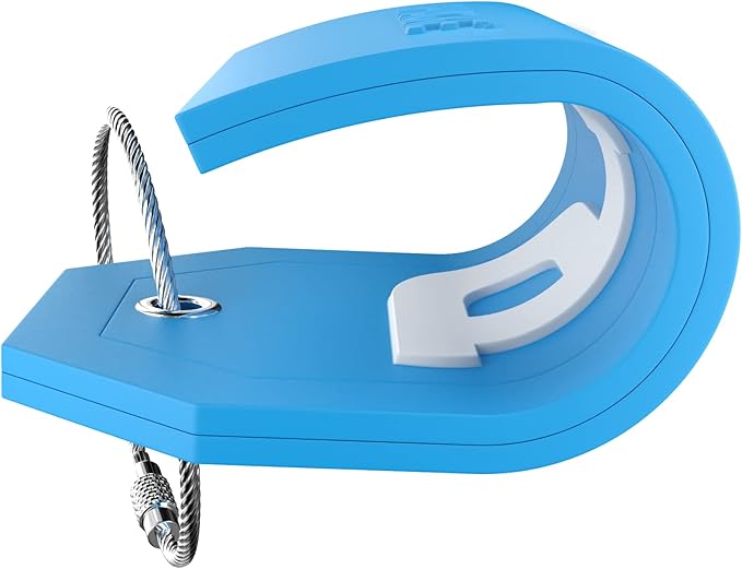 Shacke Initial Luggage Tag with Full Privacy Cover and Stainless Steel Loop - Aqua Teal (Letter P)