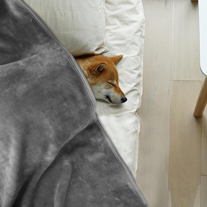 Onarway Dog Blanket Washable for Puppy: 4 Packs Dog Blankets 40”x28” - Fluffy Soft Small Throw for Cat Puppy Kitten Dogs - Fleece Pet Blankets for Bed Sofa Car and Indoor - Light Grey
