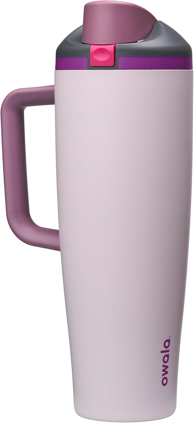 Owala FreeSip Tumbler Insulated Stainless Steel Water Bottle with Built-in Straw and Side Handle, For Travel, Work, School, and Sports, 40oz, BPA Free, Leak Proof, Dreamy Field