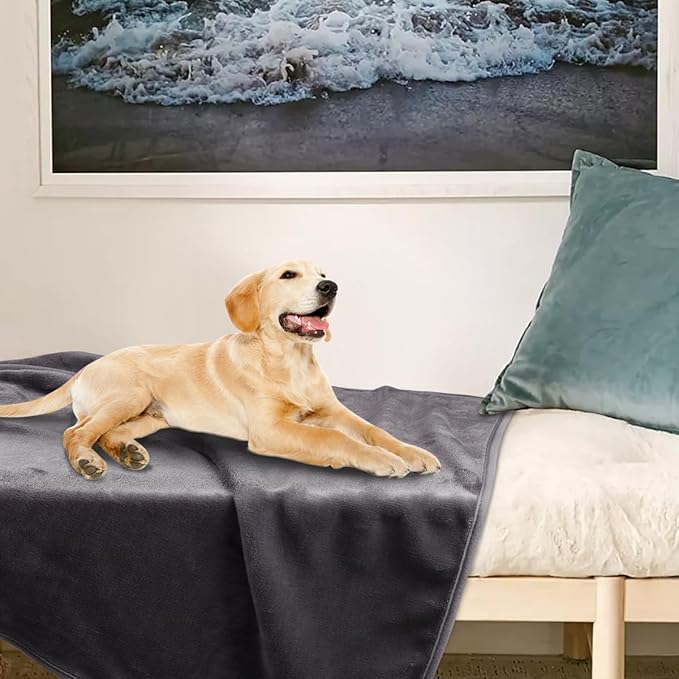 Onarway Dog Blanket Washable for Puppy: 4 Packs Dog Blankets 40”x28” - Fluffy Soft Small Throw for Cat Puppy Kitten Dogs - Fleece Pet Blankets for Bed Sofa Car and Indoor - Purple