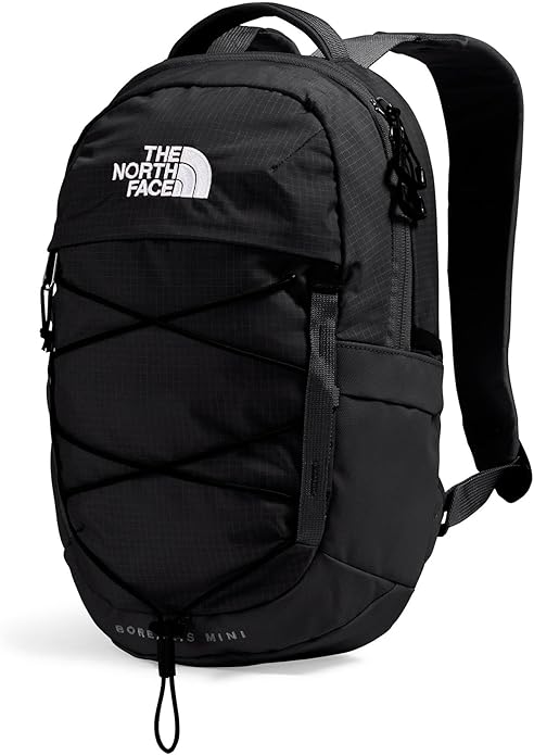 THE NORTH FACE Borealis MINI Backpack