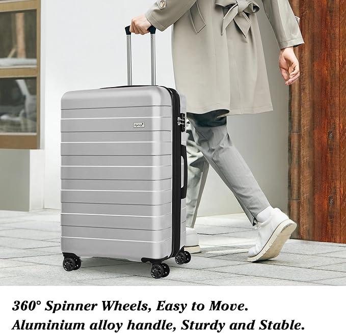 Zebra Luggage Sets 3 Piece, 20" Carry On Luggage with Spinner Wheels, Hardside Business Travel Suitcase Set with TSA Lock, Lightweight Suitcase,20/24/28 inch,Silver
