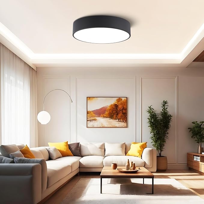 Modern Dimmable LED Flush Mount Ceiling Light Fixture,5CCT,15.74in | 36W,Round Black Large Mounted Ceiling Lamp Lighting Fixtures, 2700K-6000K for Kitchen Master Bedroom Living Room