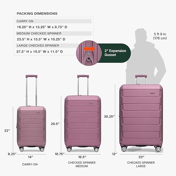 Traveler's Choice Pagosa Hardshell Expandable Luggage with Spinner Wheels, Mauve, 26-Inch Medium