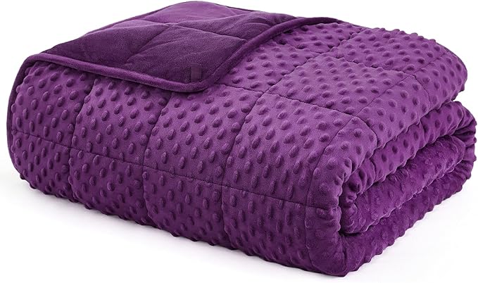 L'AGRATY Weighted Blanket - 40"x60" 10lbs Minky Dots Heavy Blanket with Glass Beads Soft Breathable for All-Season Summer Fall Winter Thick Comfort for Sleeping