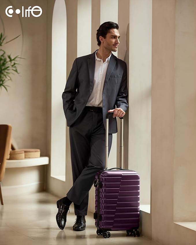 Coolife 20-Inch Small Carry on Hardside PC+ABS Spinner TSA Lock Telescopic Luggage Handle（20in-purple）