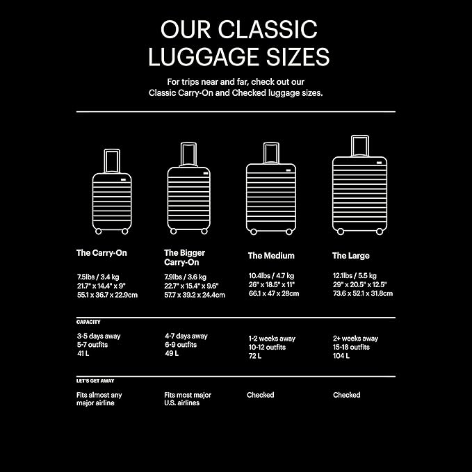 Away Large Checked Luggage, 29 Inch Hardside Suitcase with Spinner Wheels, Lightweight & Durable, TSA Lock, Salt White Matte