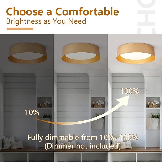 Bargeni 16.5" Gold Flush Mount Ceiling Light, LED Ceiling Fixture | 30W dimmable LED light with 3000K warm glow, ideal for living rooms, bedrooms, hallways and foyers