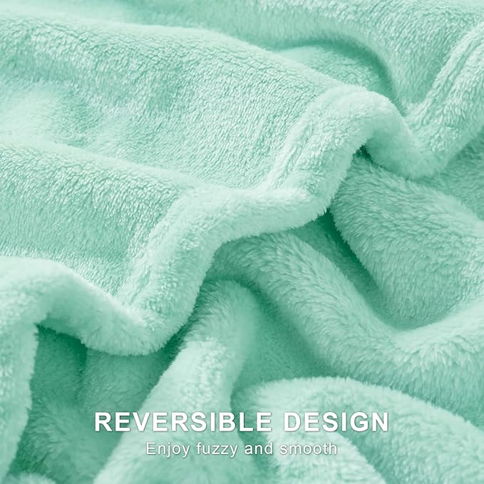 Hansleep Fleece Lake Green Queen Blanket, Super Soft Flannel Fuzzy Plush Cozy Blanket for All Seasons, Lake Green, Queen 90x90 Inches