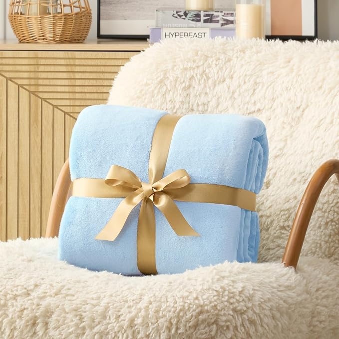 Hansleep Fleece Light Blue Full Blanket, Super Soft Flannel Fuzzy Plush Cozy Blanket for All Seasons, Light Blue, Full 84x90 Inches