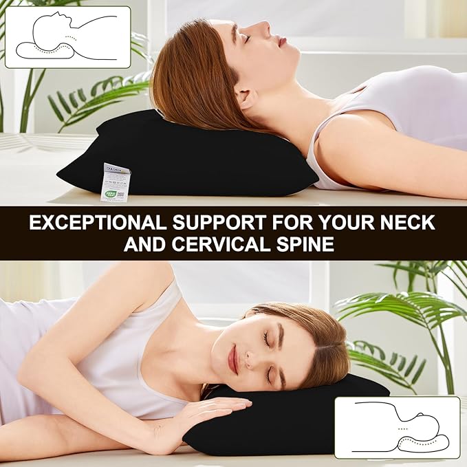 Organic Buckwheat Pillow for Sleeping with Dual-Layer Pillowcase and Extra Tartary Buckwheat Hulls, Adjust Height and Firmness, Neck Support Pillow for Back and Side Sleepers 20"x26", Black