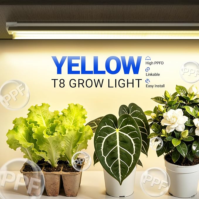 Barrina 3FT T8 Grow Light, 30W Full Spectrum Plant Light, Yellow, 6 Packs | 180W(6 x 30W) 1000W Equivalent Growing Lamp Fixture, Linkable, V-shaped Reflector, LED Grow Light Strips for Greenhouse