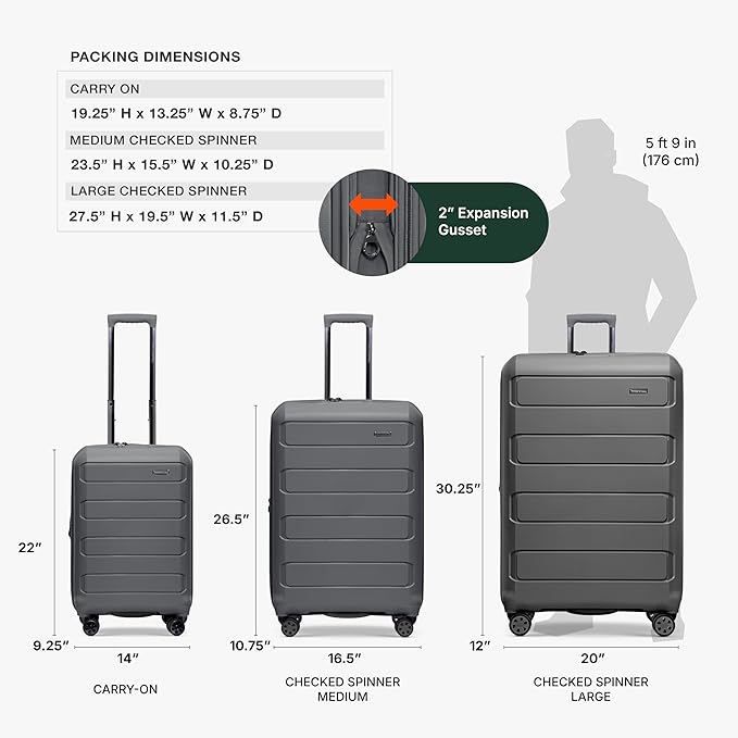 Traveler's Choice Pagosa Hardshell Expandable Luggage with Spinner Wheels, Gray, 26-Inch Medium